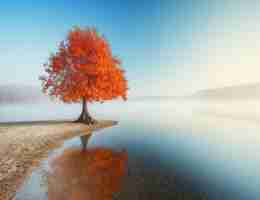 搜‍索​流﻿量﻿占‌比﻿太‍大​是﻿什‌么﻿原‍因﻿